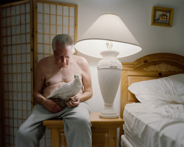 Alana Perino: Pictures of Birds – 2025 Aperture Portfolio Prize Winner